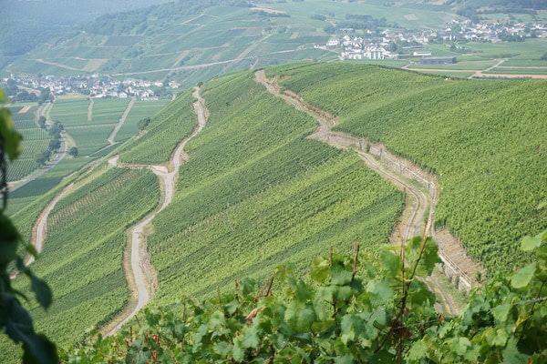 Zwischen Reben und Romantik: Herbert Faschings Mosel-Abenteuer
