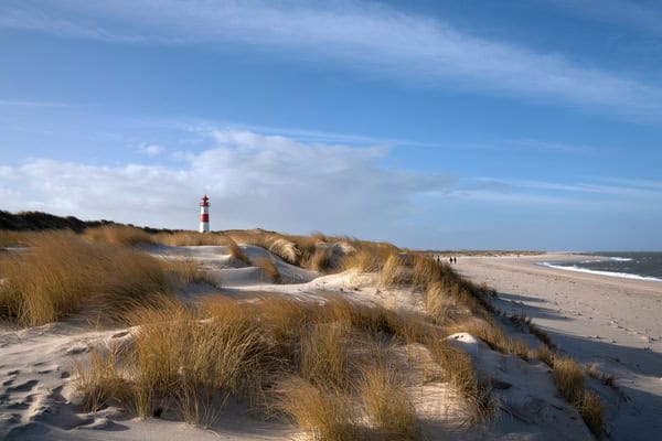 Inselparadies Sylt: Herbert Fasching genießt Nordseeluft und Luxus